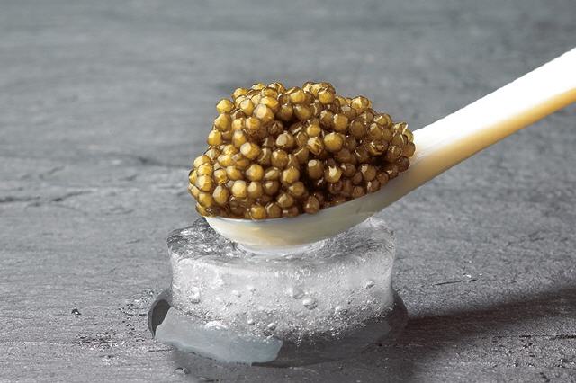 Premium Gold Kaviar